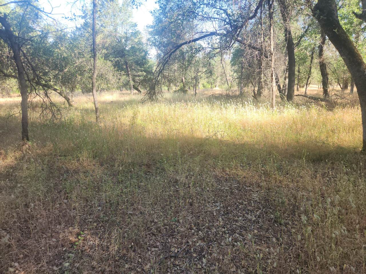12910 Old Oregon Trail - Photo 1