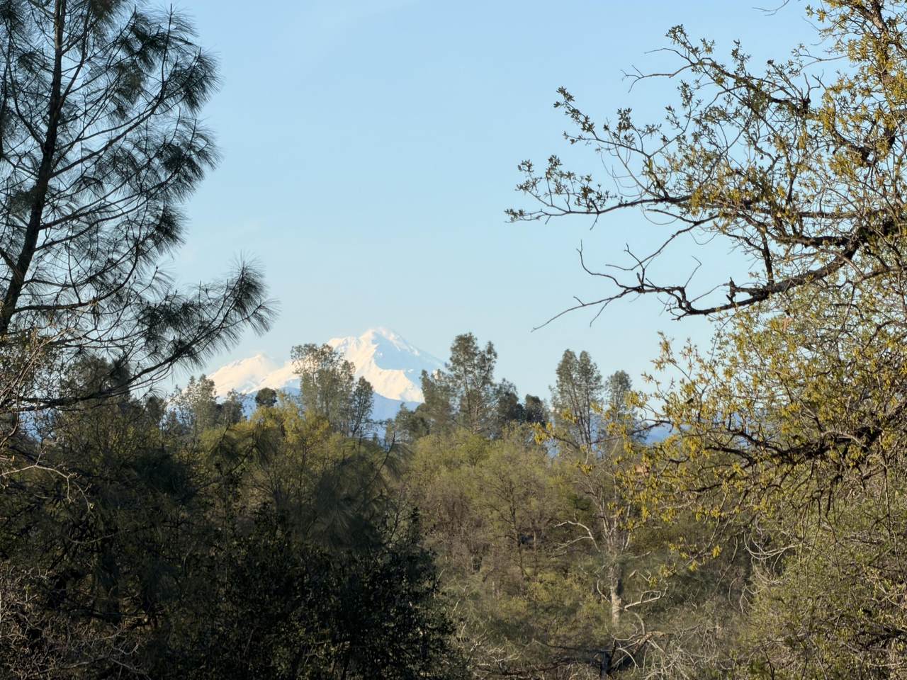 https://bt-photos.global.ssl.fastly.net/shasta/1280_boomver_2_26-939-2.jpg