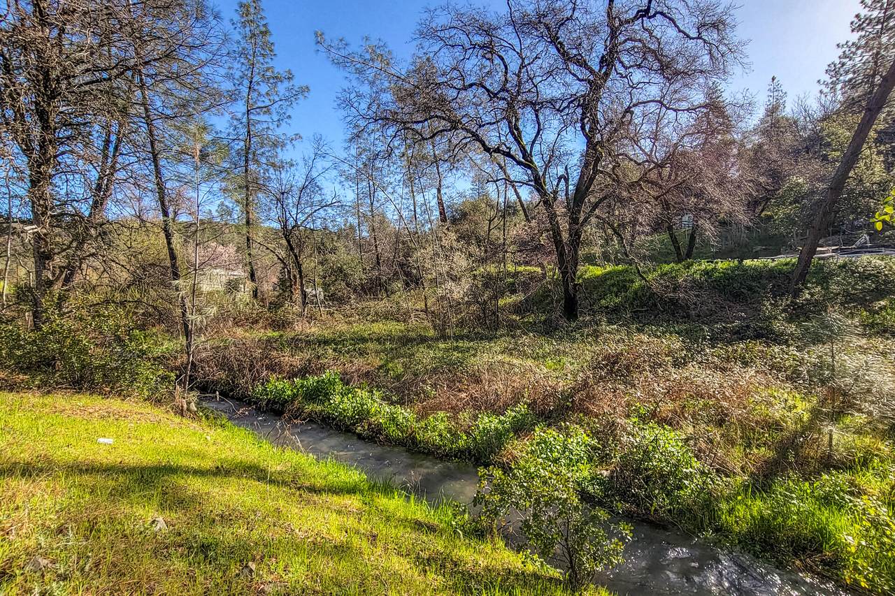  Bear Mountain Road - Photo 1