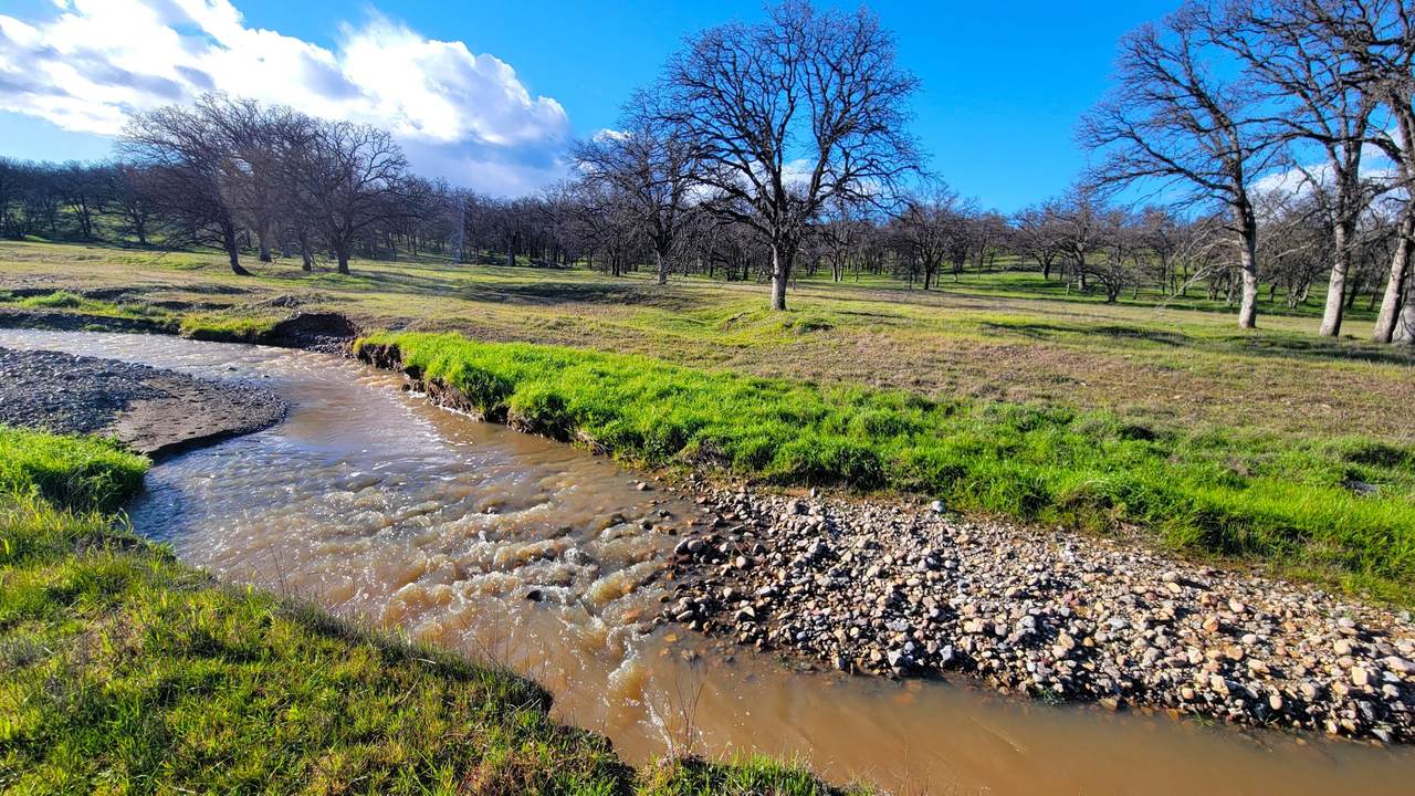 Lot 42 Quail Ridge Road - Photo 1