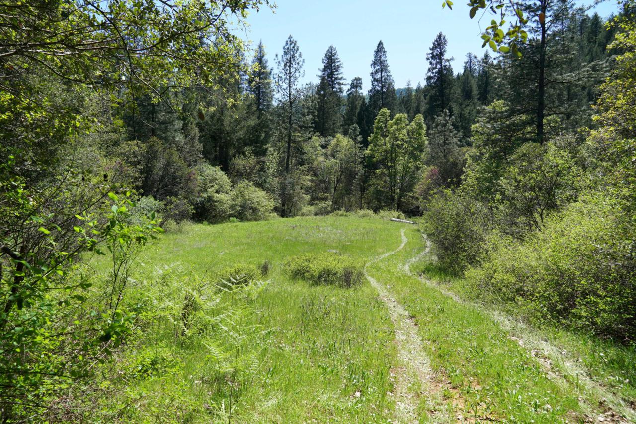 135 acres Gilman Road - Photo 1
