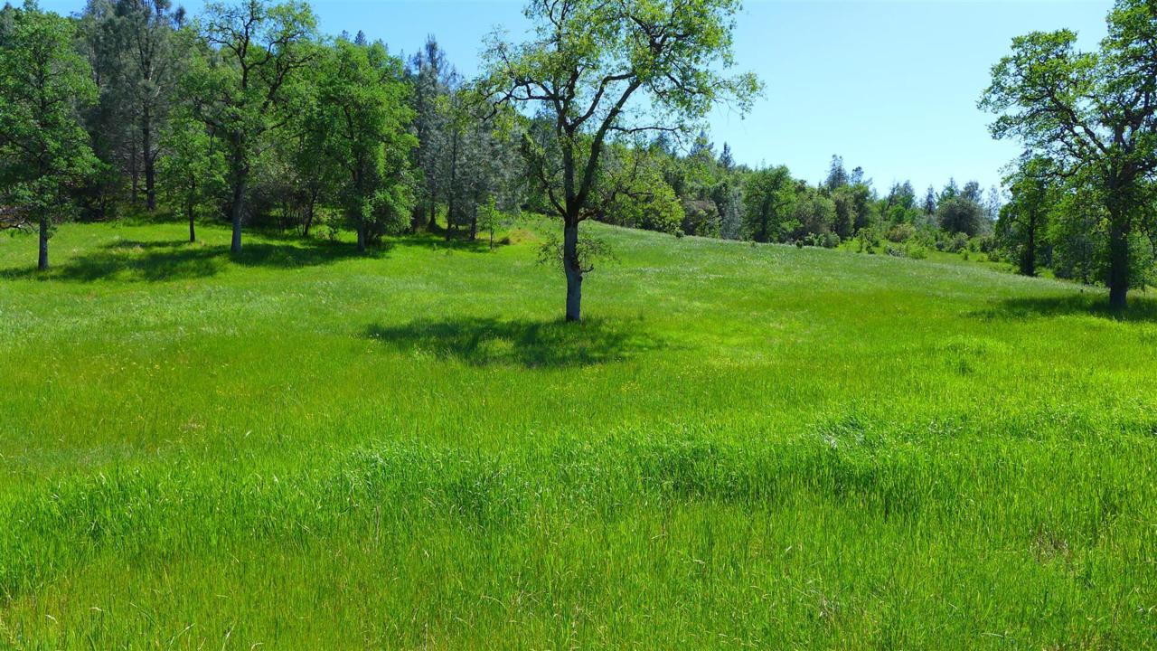 0000 Bear Mountain Road - Photo 1