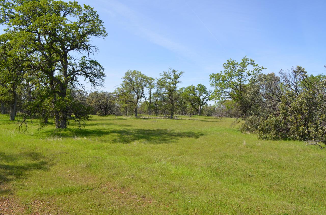 Westridge Rd. - Photo 1