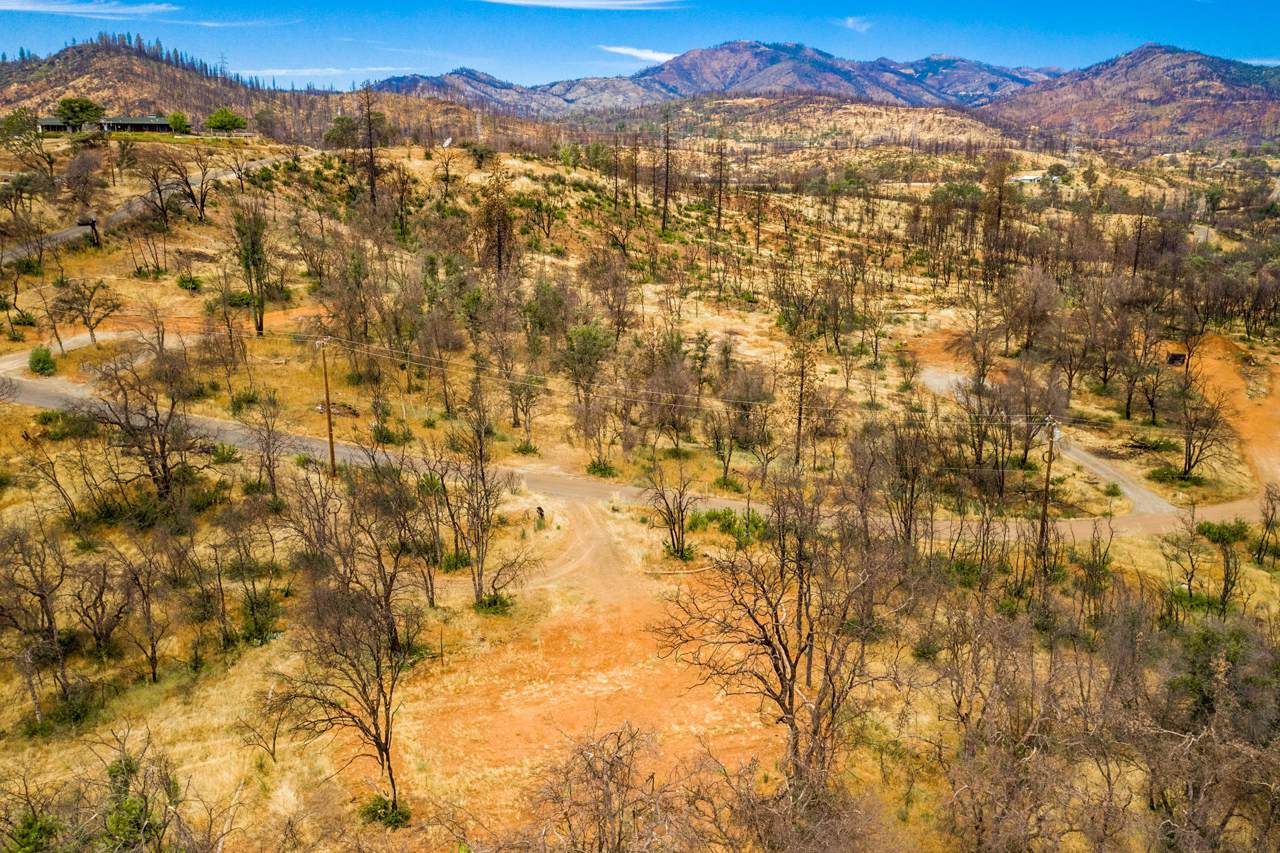 16279 Laurie Ann Ln - Photo 1
