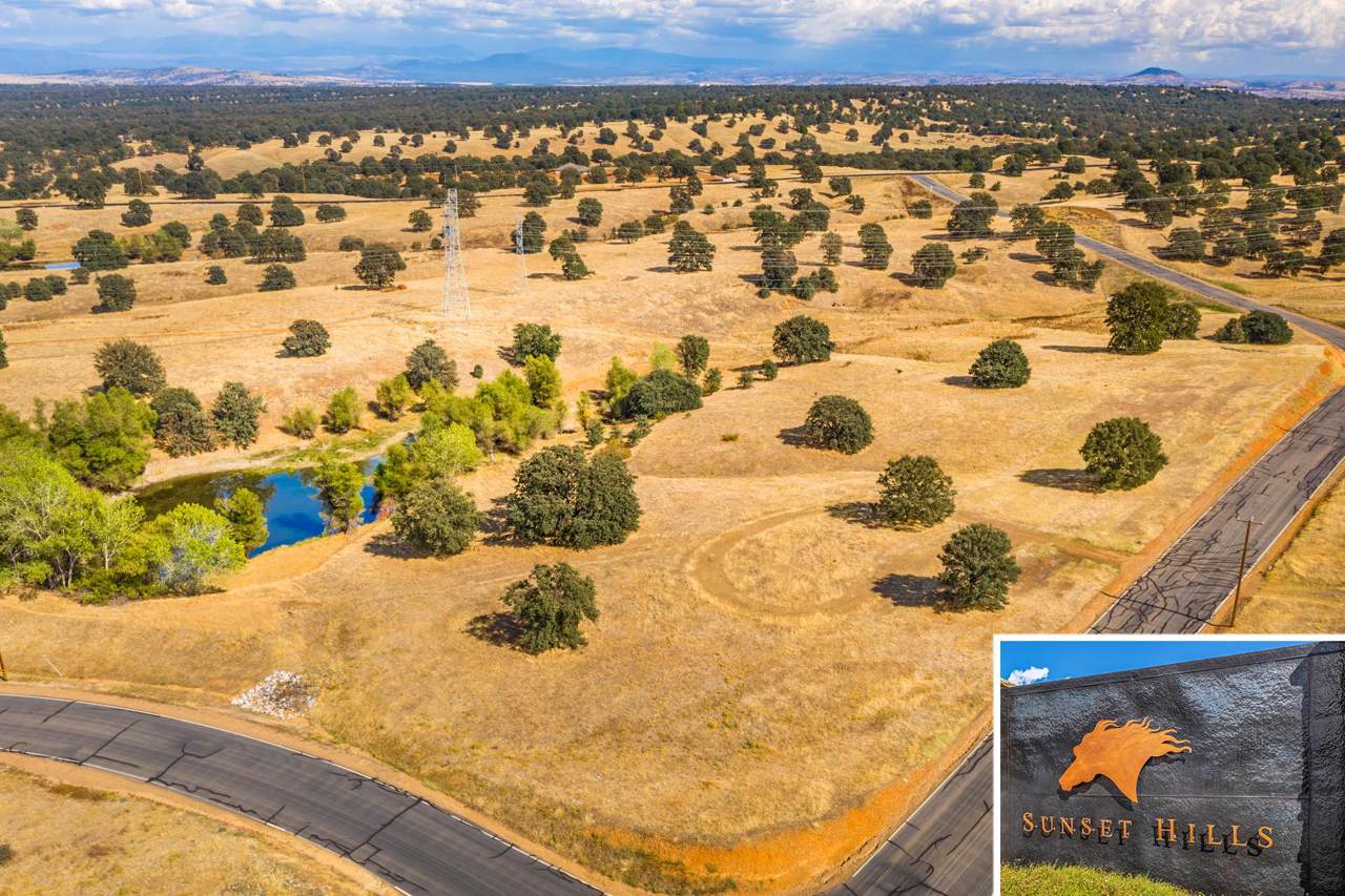 Lot 73 Arlington Park Pl - Photo 1