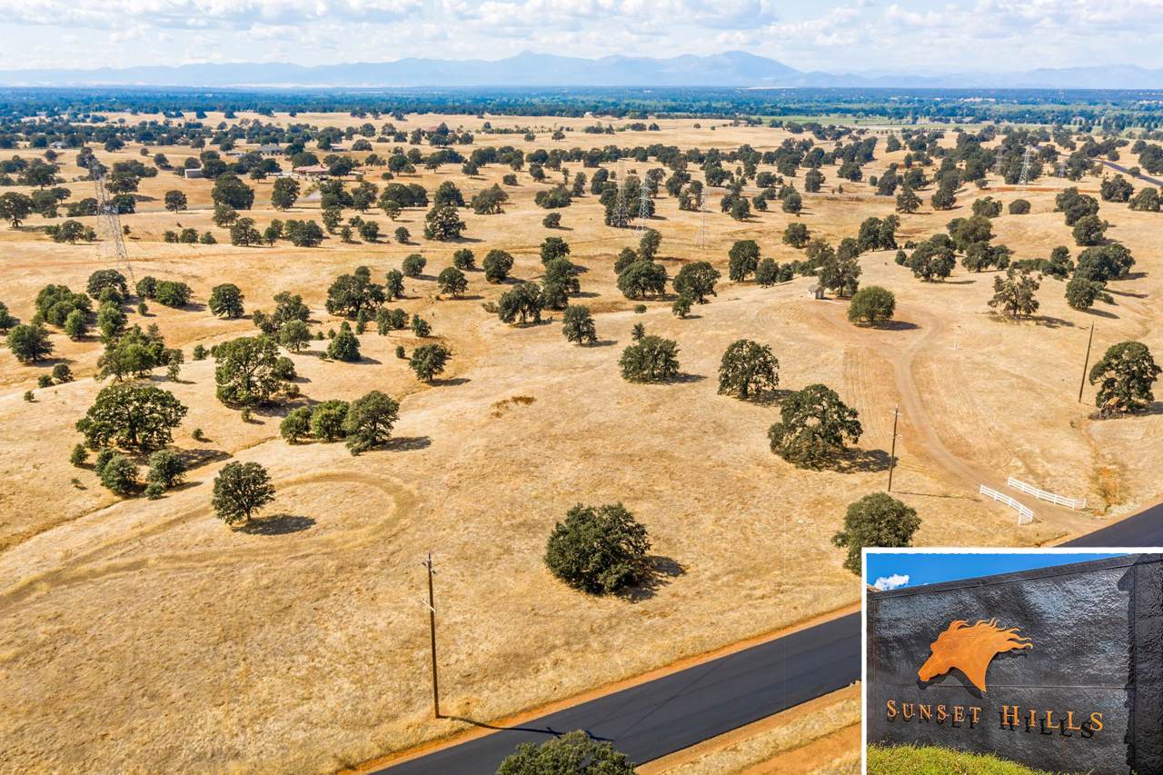 Lot 68 River Downs Way - Photo 1