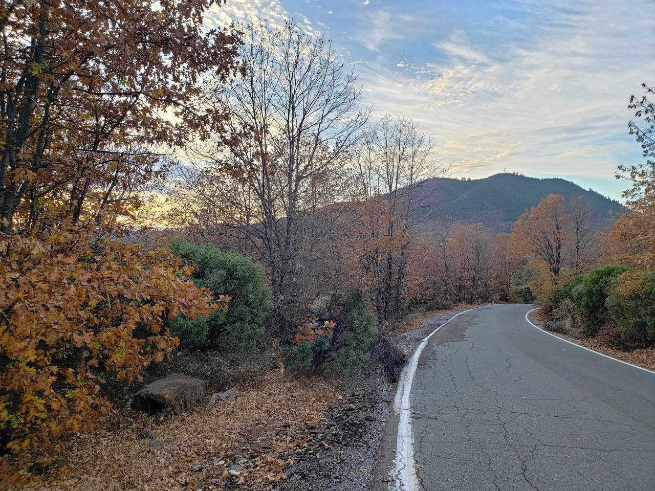 Frisby Rd. - Photo 1