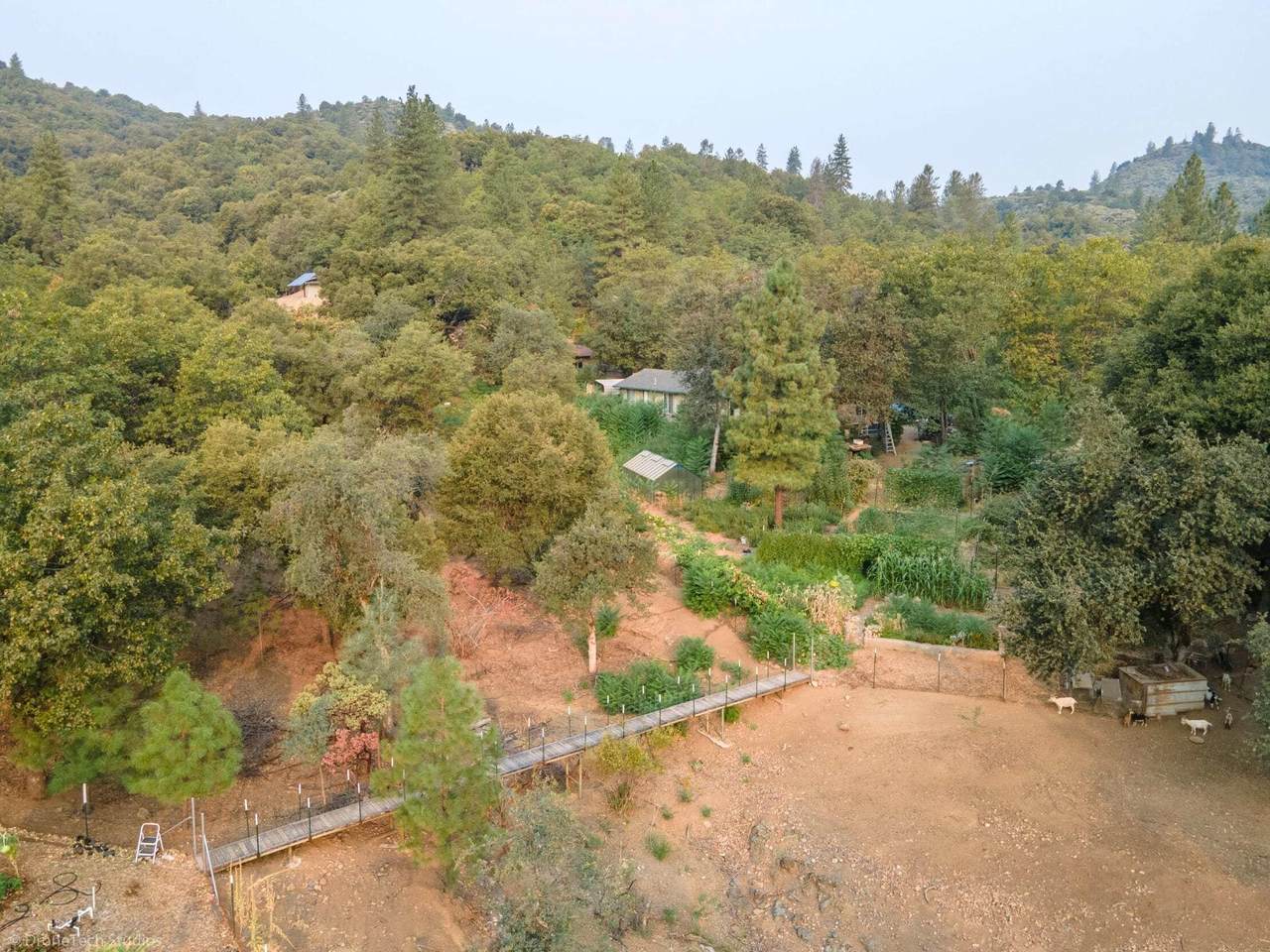 17171 Flanagan Rd - Photo 1