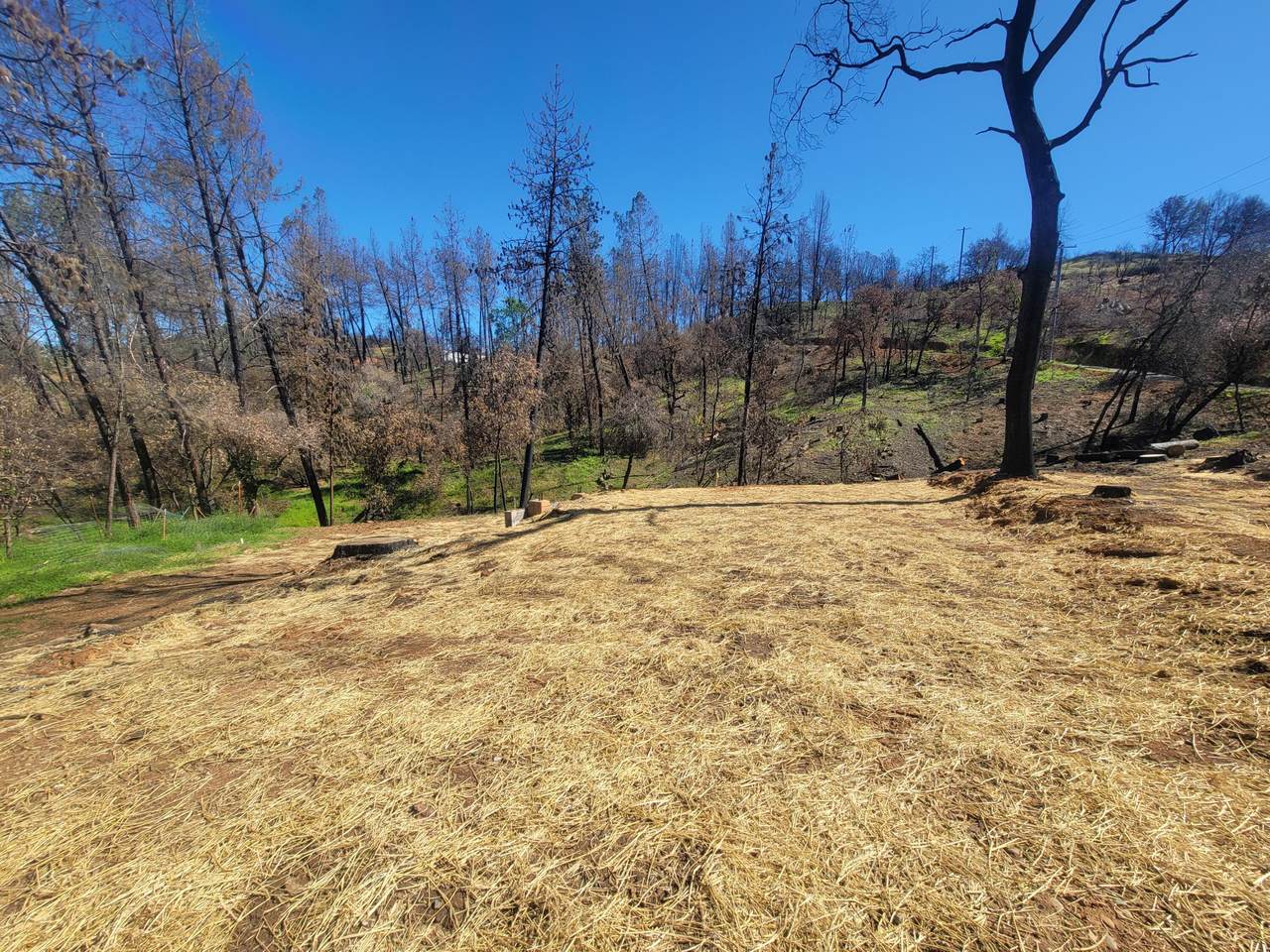 20048 Miller Butte Rd - Photo 1