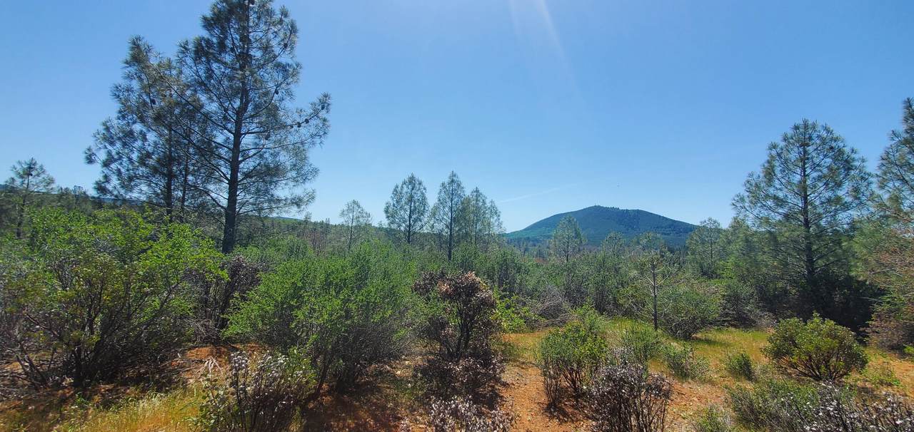 000 Hwy299e - Photo 1