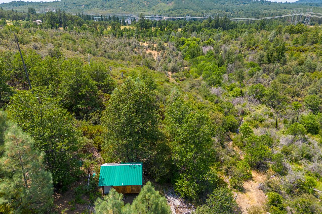Cabin Ln - Photo 1