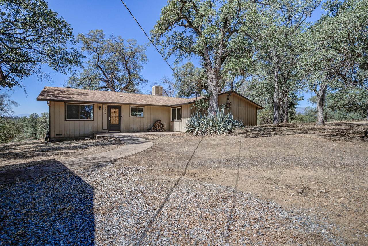 1570 Branstetter Ln - Photo 1