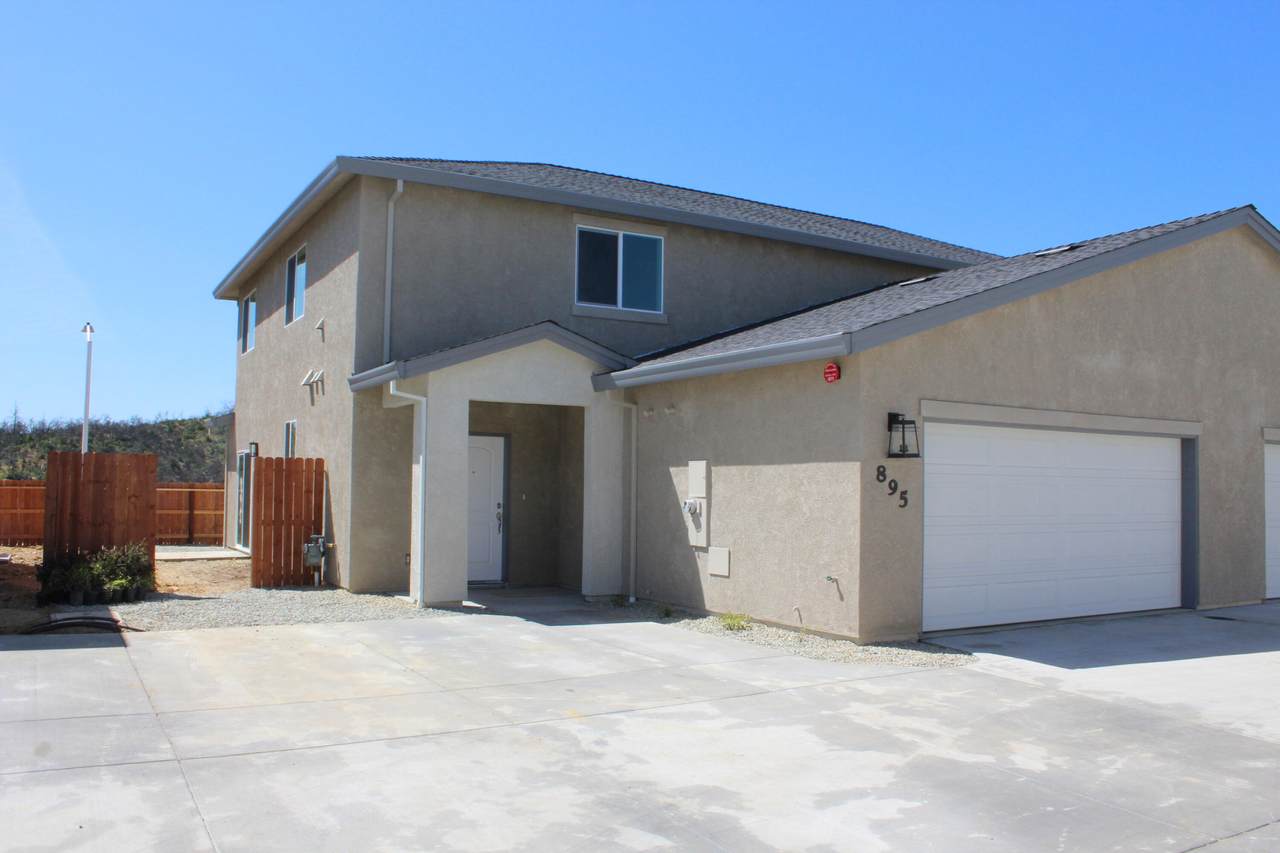 895 Congaree Ln - Photo 1