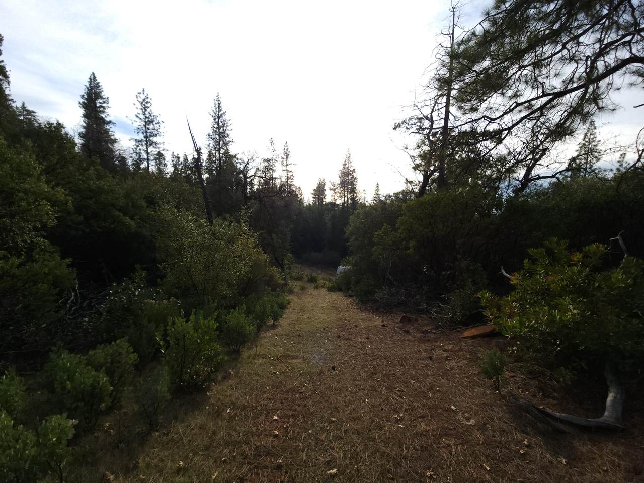 https://bt-photos.global.ssl.fastly.net/shasta/1280_boomver_2_24-2292-2.jpg