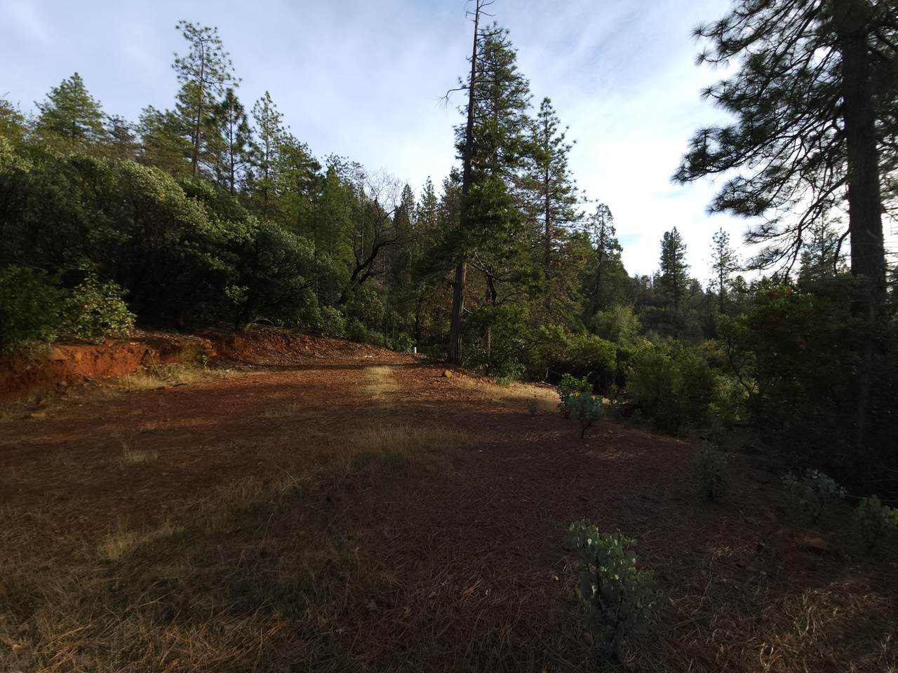 https://bt-photos.global.ssl.fastly.net/shasta/1280_boomver_2_24-2292-2.jpg
