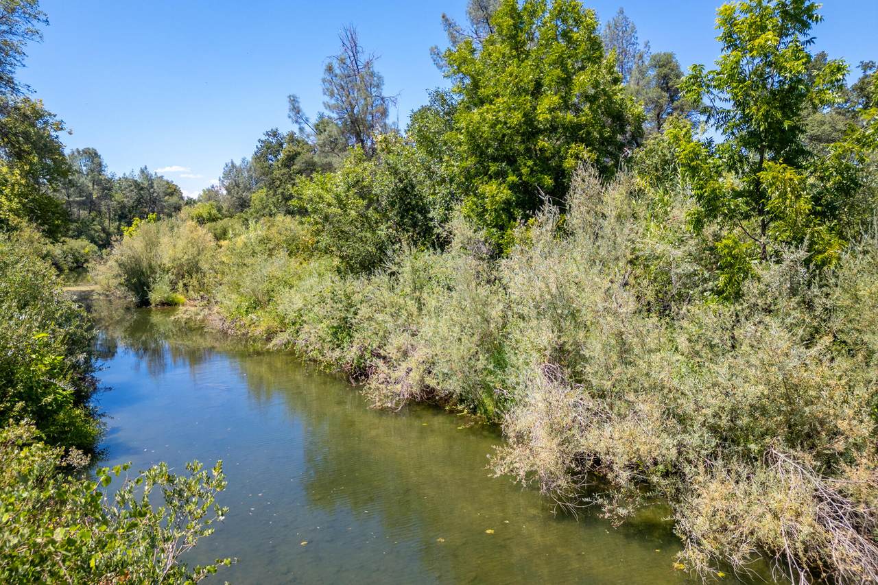 10025 Harley Leighton Road - Photo 1