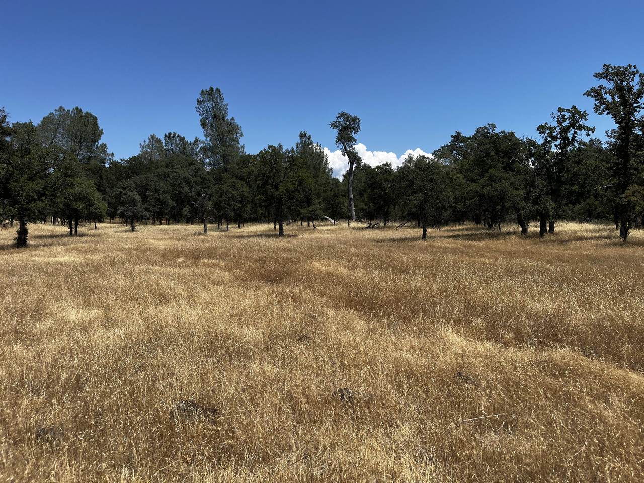 https://bt-photos.global.ssl.fastly.net/shasta/1280_boomver_2_25-2784-2.jpg