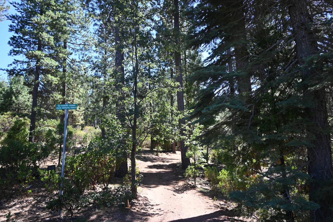 010 Kirby Court - Photo 1