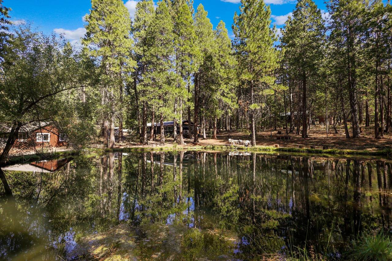 21800 Cedar Ridge Road - Photo 1