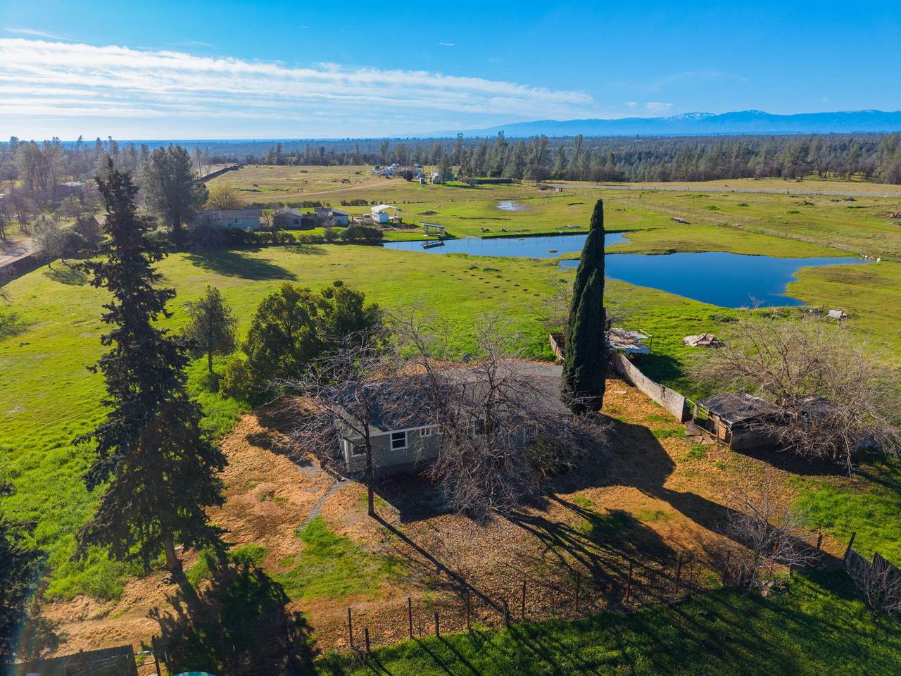 6400 Dale Lane - Photo 1