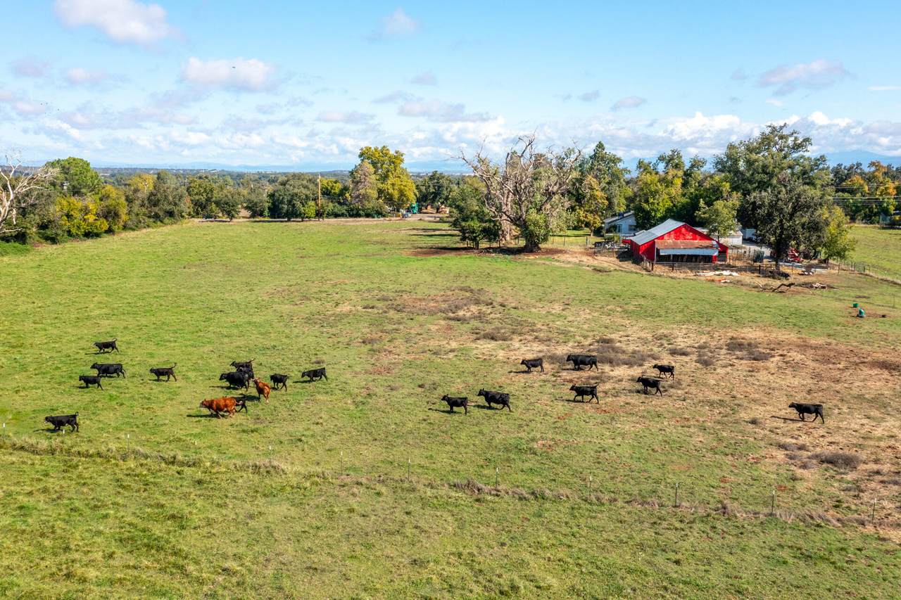4832 Balls Ferry Road - Photo 1