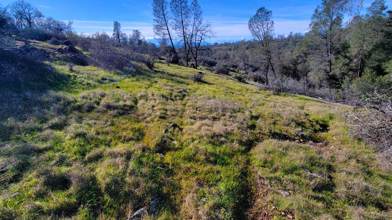 000 Rancheria Creek Road - Photo 1