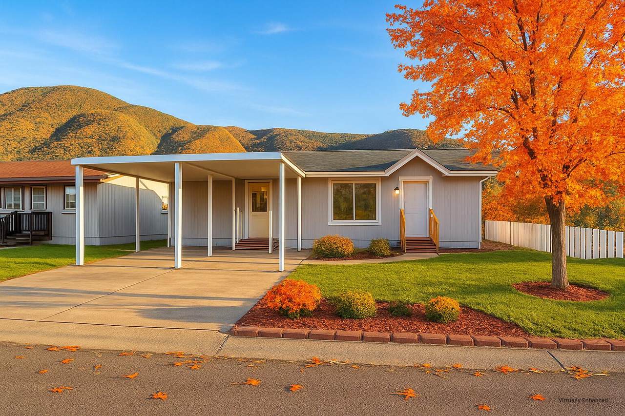 13905 Trinity Mountain Road - Photo 1