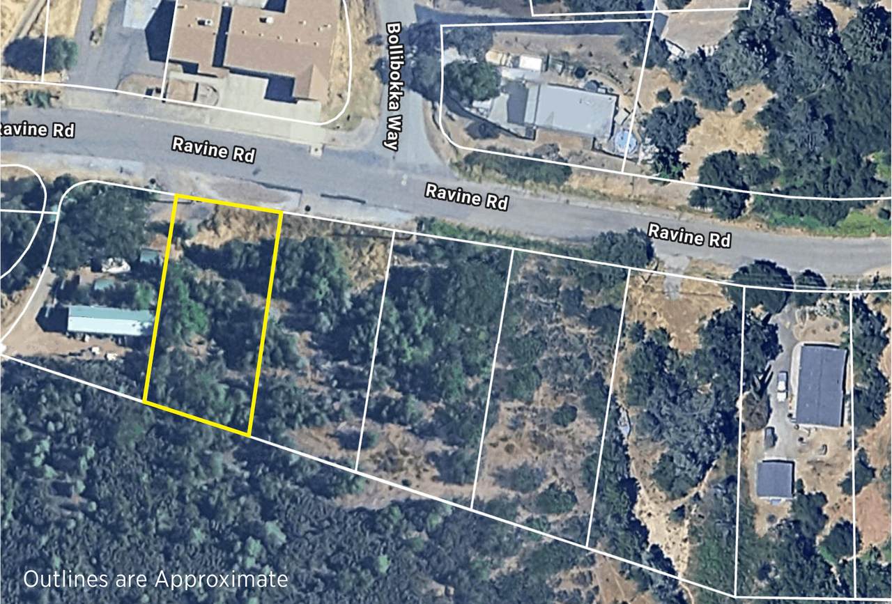  Ravine Road - Photo 1