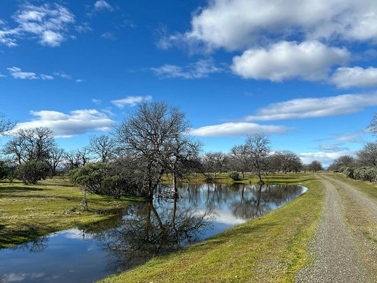 322 ACRES Kinglsland Way - Photo 1