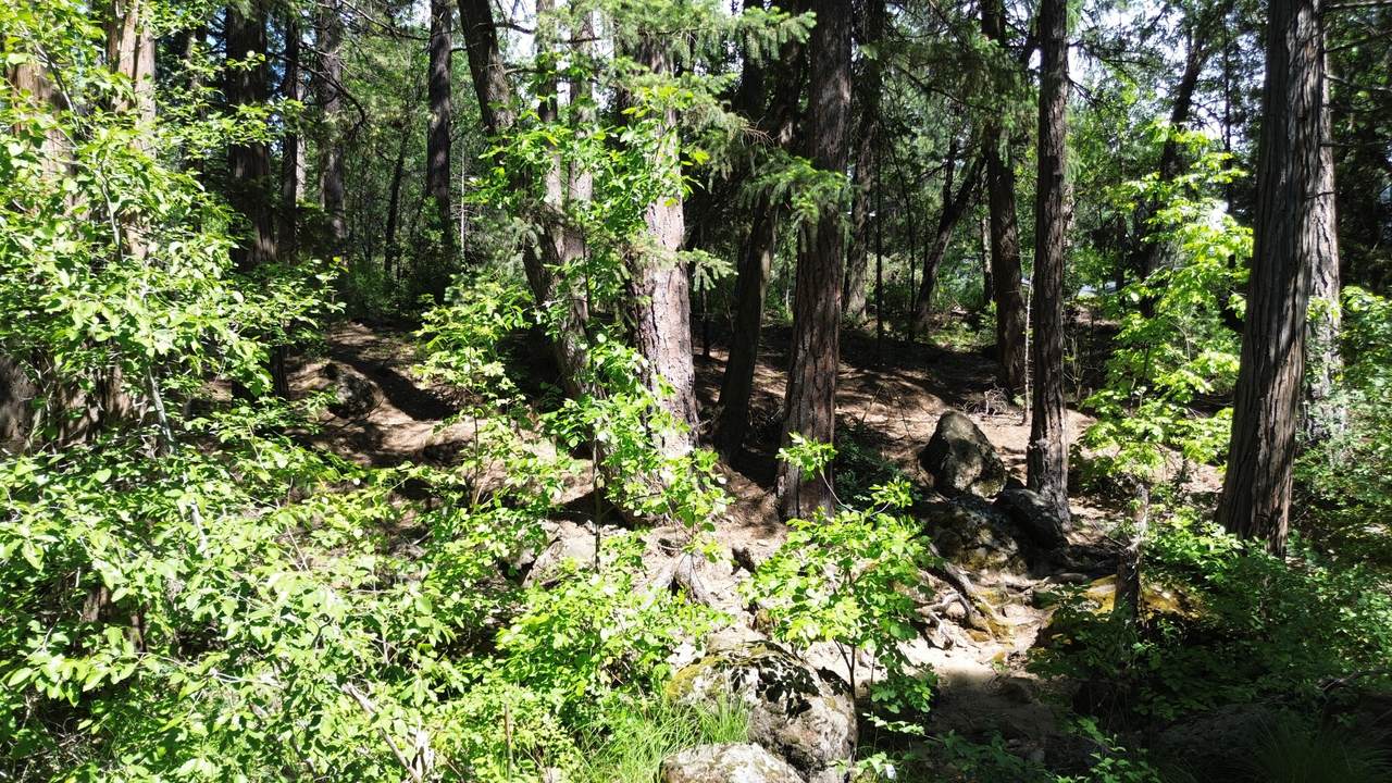 https://bt-photos.global.ssl.fastly.net/shasta/1280_boomver_2_26-1078-2.jpg
