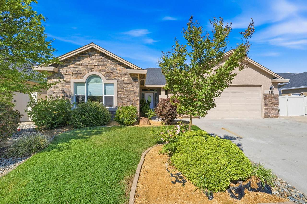 542 El Mango Drive - Photo 1