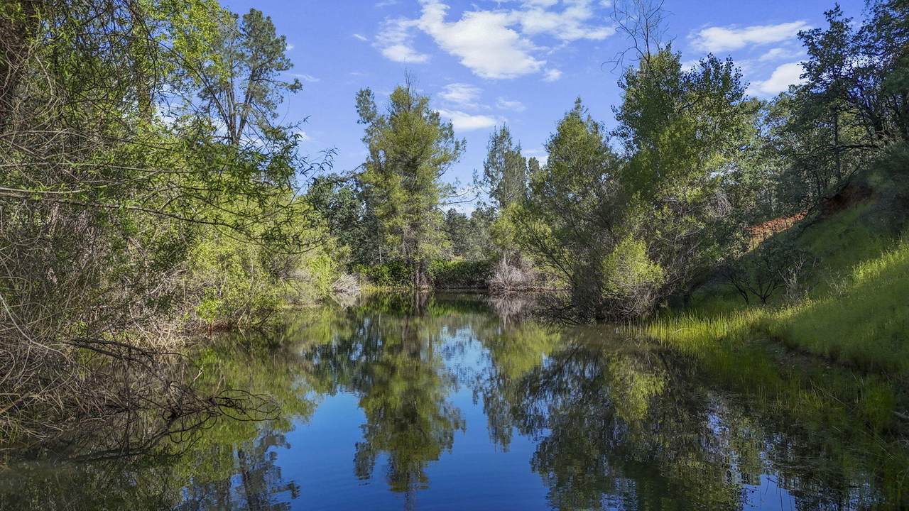 https://bt-photos.global.ssl.fastly.net/shasta/1280_boomver_2_26-1828-2.jpg