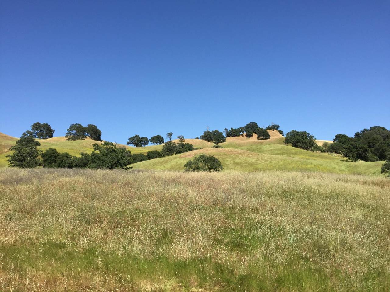 https://bt-photos.global.ssl.fastly.net/shasta/1280_boomver_1_26-2274-2.jpg