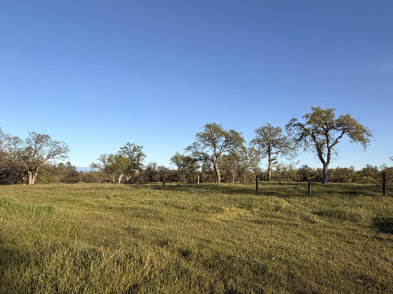  Olinda Road - Photo 1