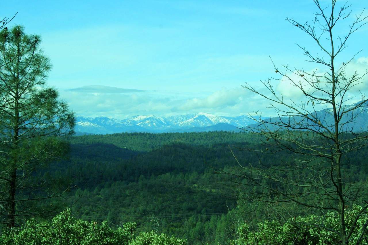 9.7 acres Lookout Mountain Road - Photo 1