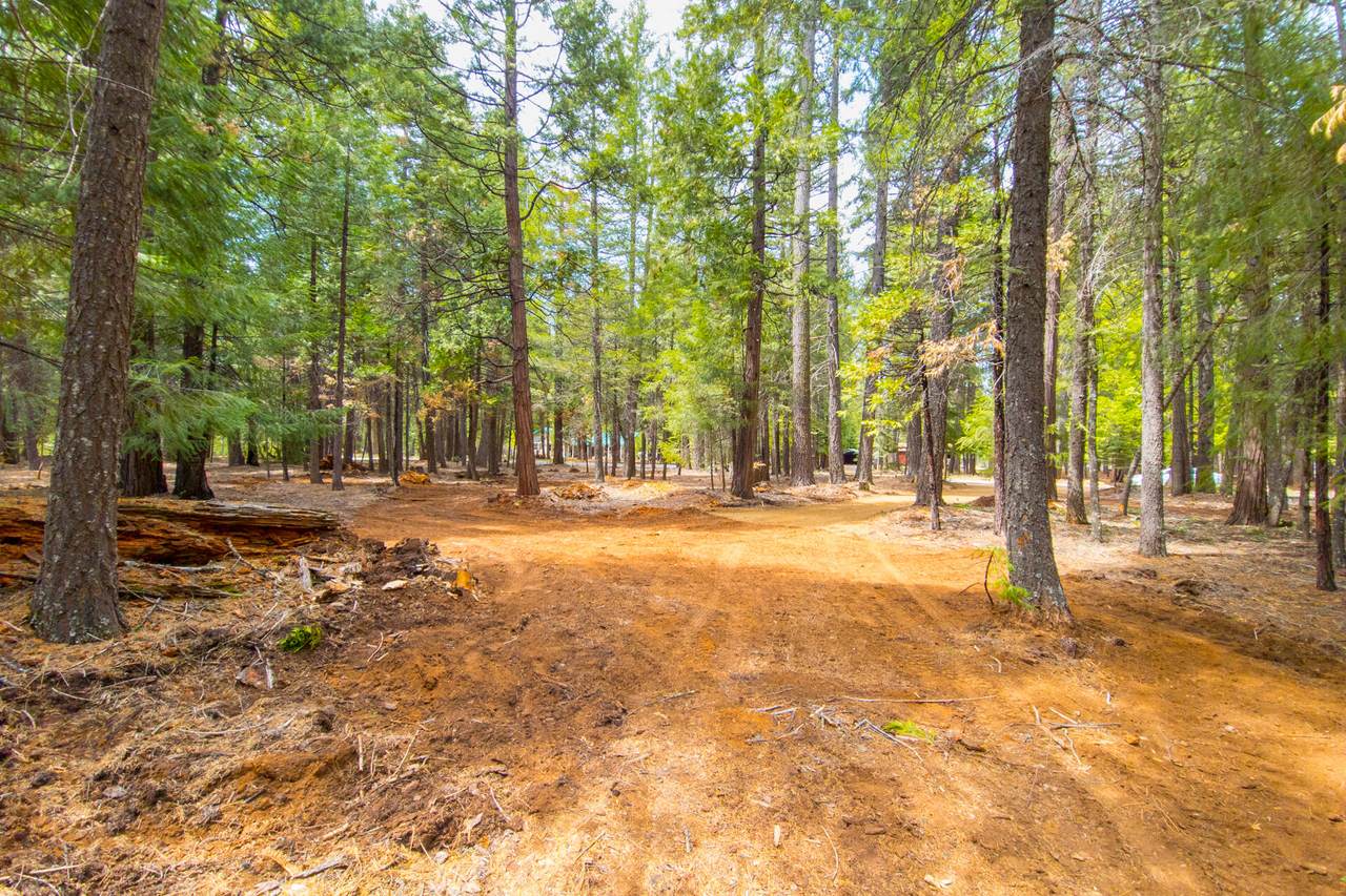 Lot 1 Redwood Drive - Photo 1