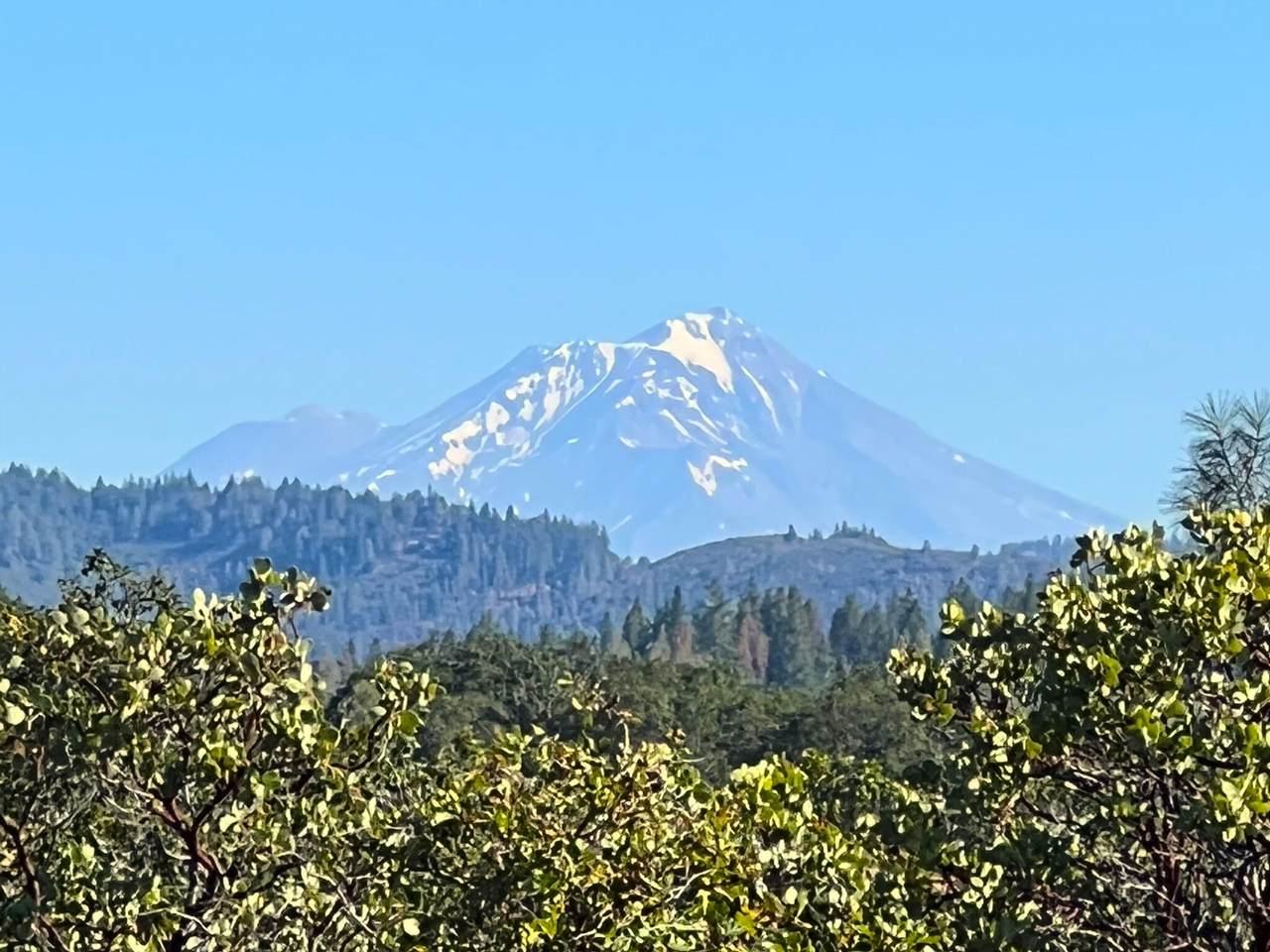 40 Acres Gold Run Rd. - Photo 1