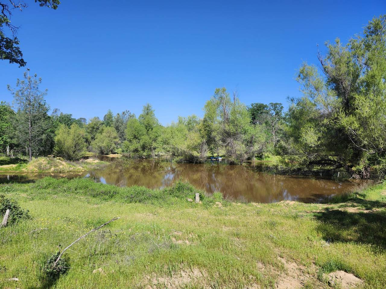 https://bt-photos.global.ssl.fastly.net/shasta/1280_boomver_4_24-3954-2.jpg