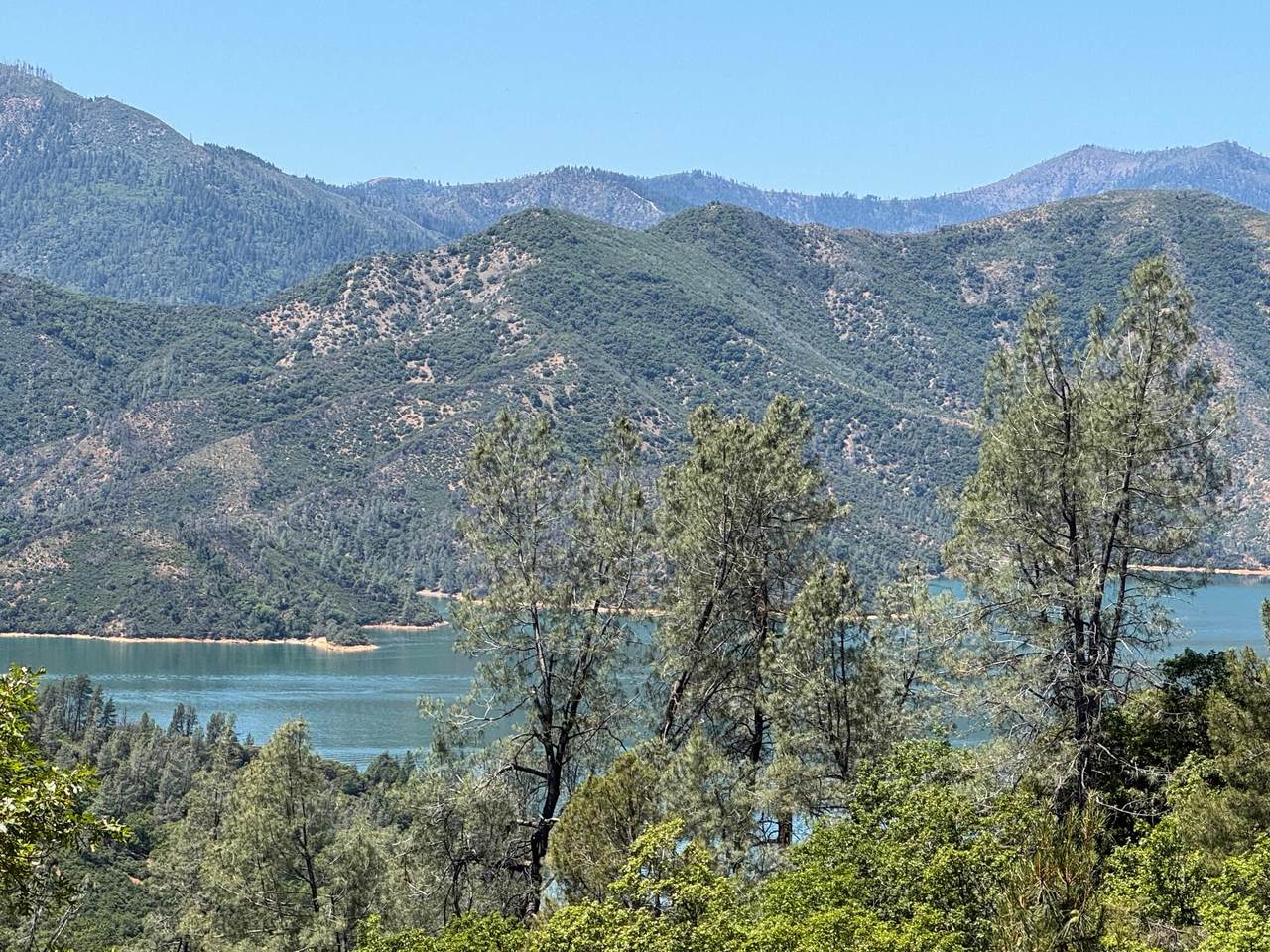  Little Doe Rdg - Photo 1