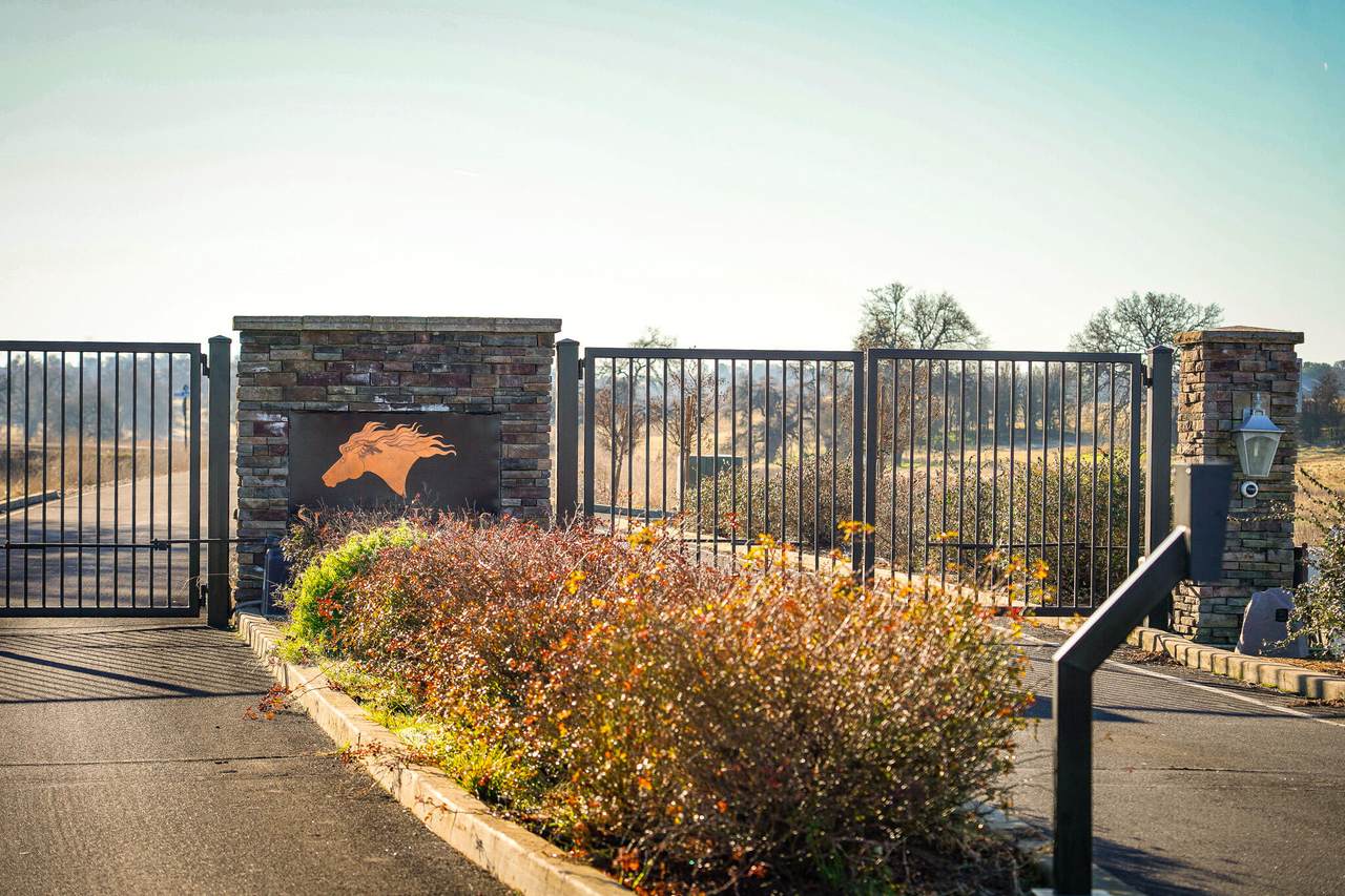 Lot 77 River Downs Way - Photo 1