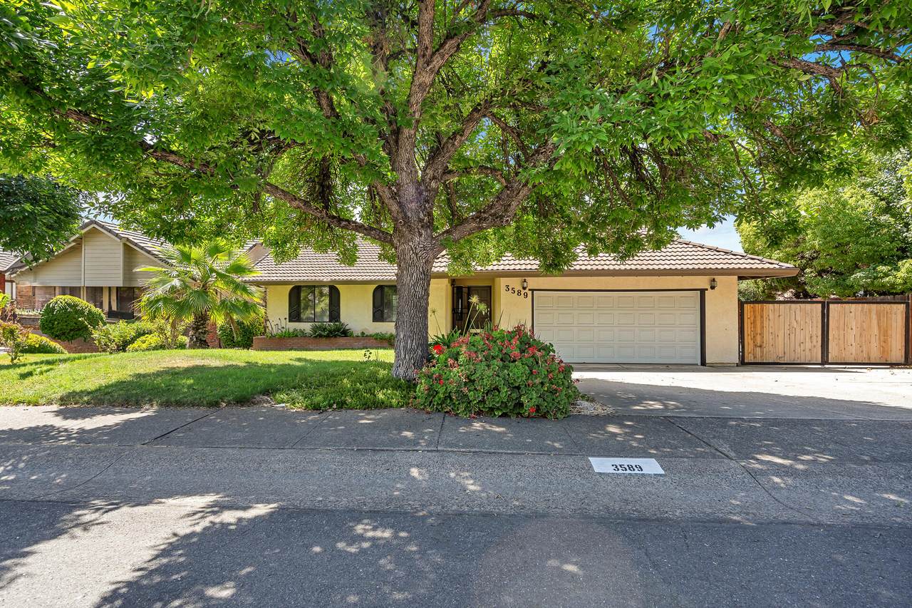 3589 Wasatch Drive - Photo 1