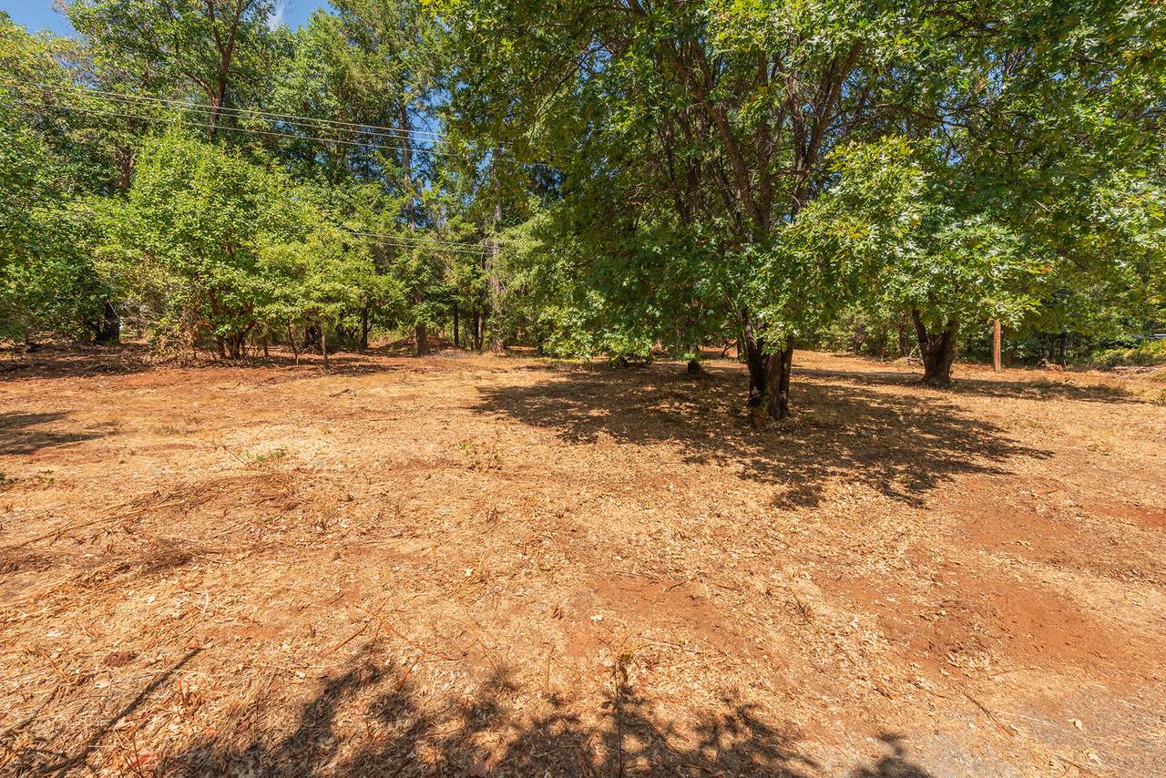 171 Connor Creek Road - Photo 1