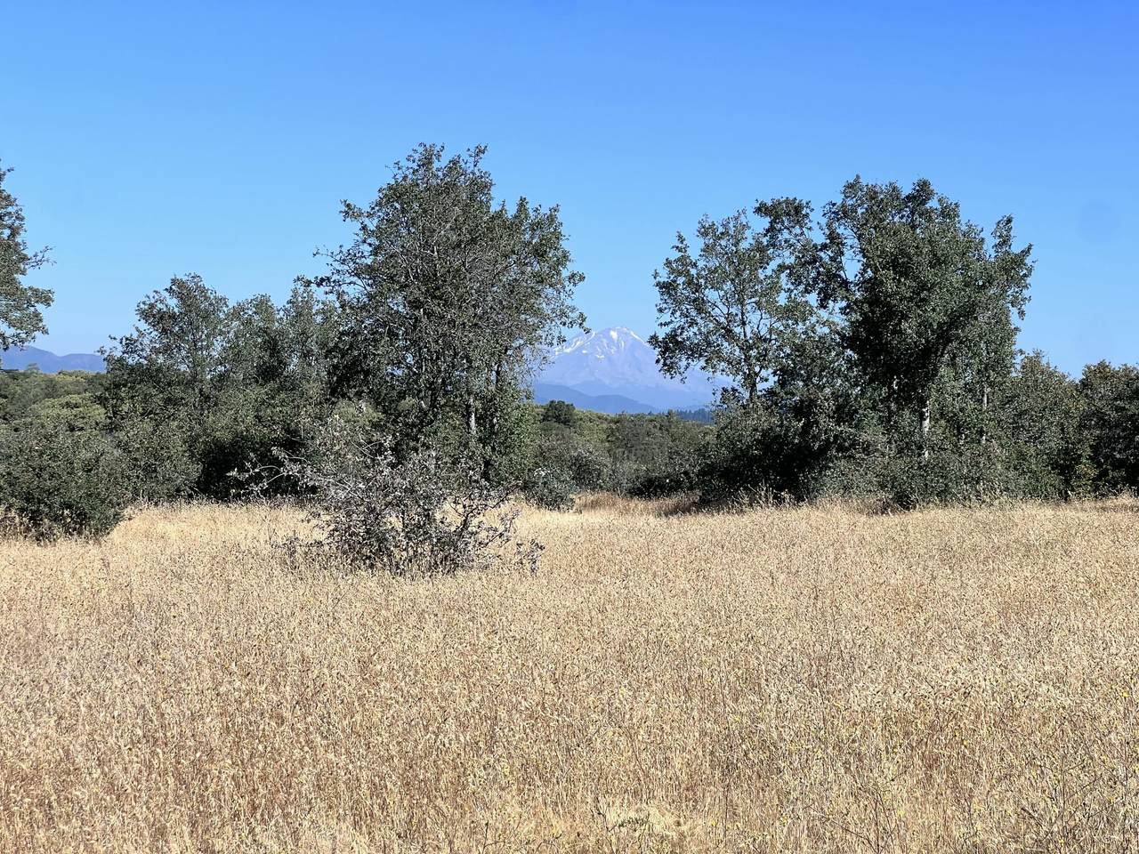 https://bt-photos.global.ssl.fastly.net/shasta/1280_boomver_3_26-3003-2.jpg