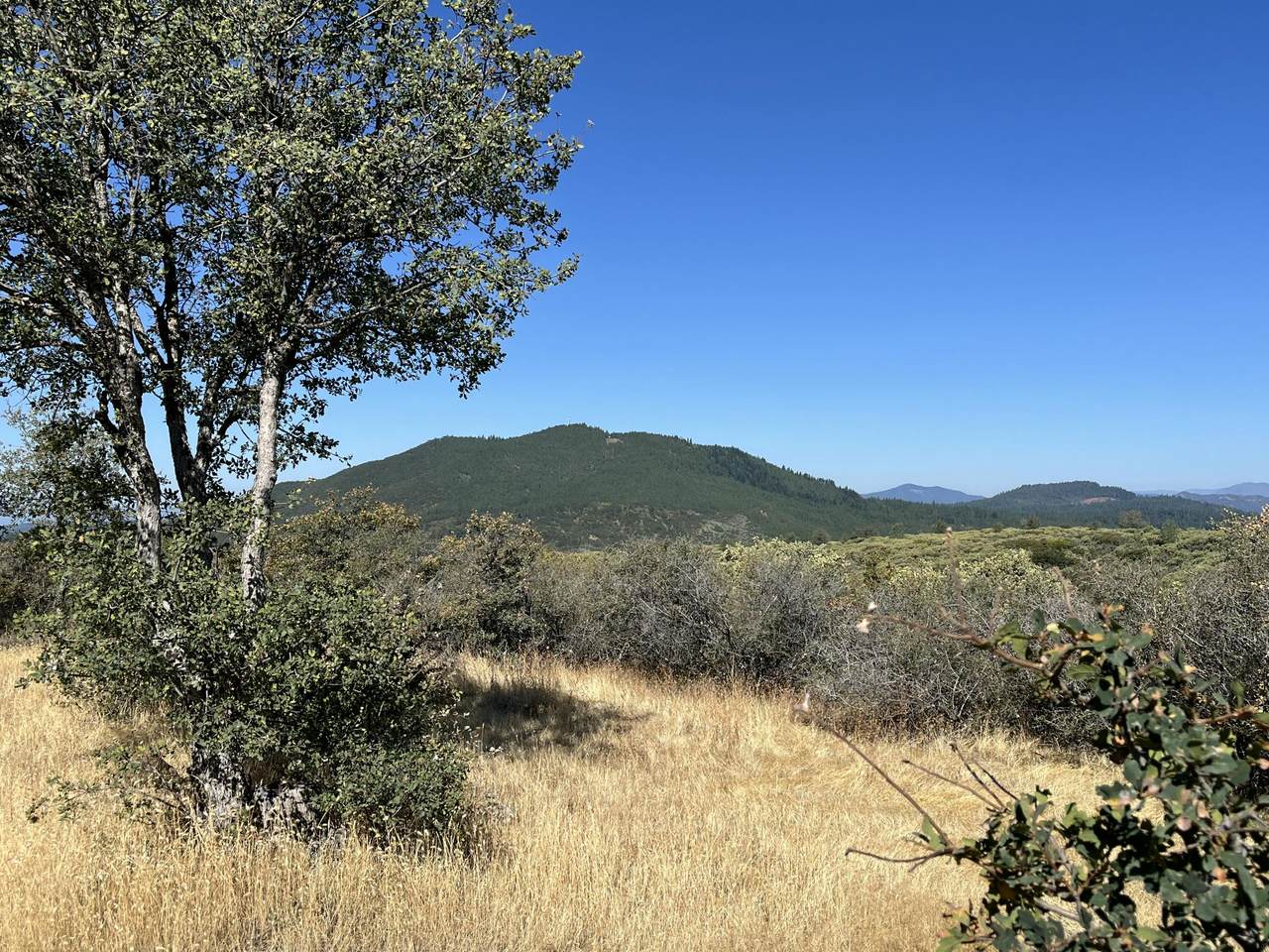 https://bt-photos.global.ssl.fastly.net/shasta/1280_boomver_3_26-3003-2.jpg