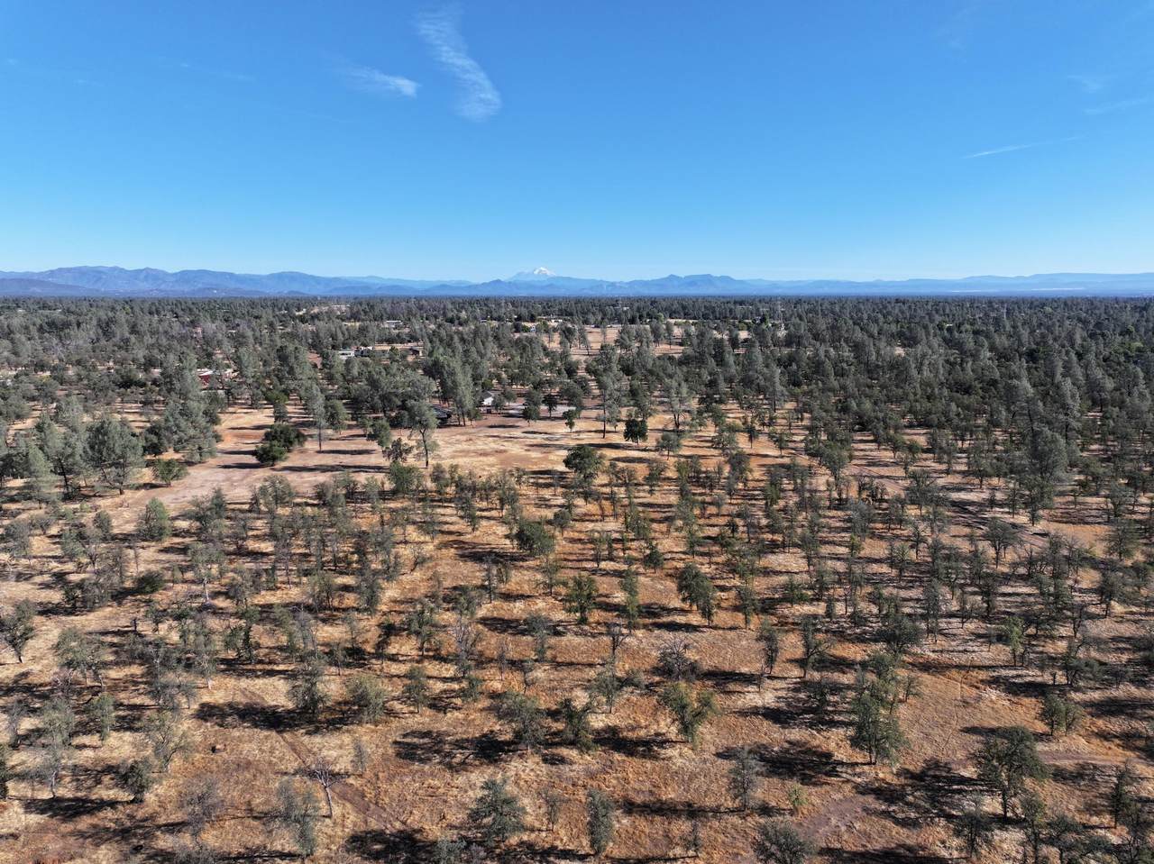  Happy Valley Road - Photo 1