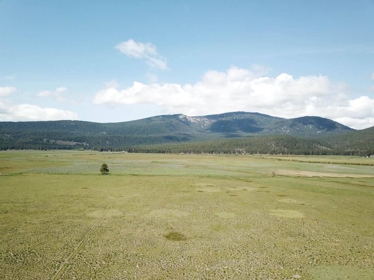 https://bt-photos.global.ssl.fastly.net/shasta/1280_boomver_4_25-1891-2.jpg