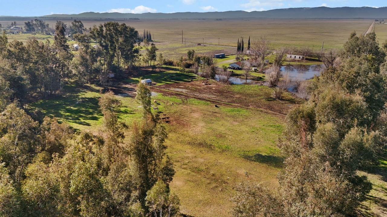 10982 Rawson Road - Photo 1