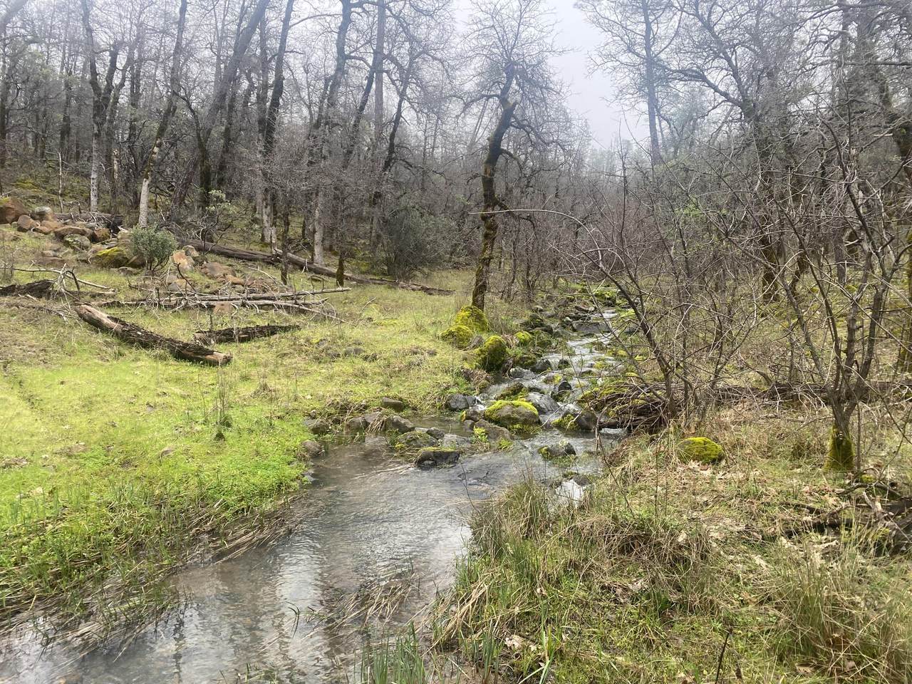 000 Arrow Point Drive - Photo 1
