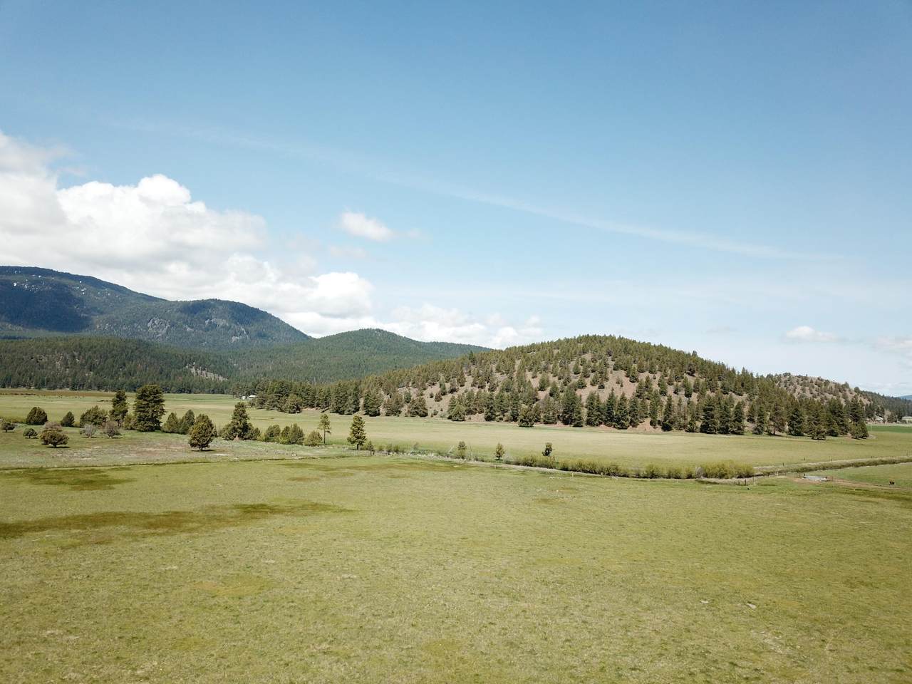 https://bt-photos.global.ssl.fastly.net/shasta/1280_boomver_4_25-1891-2.jpg
