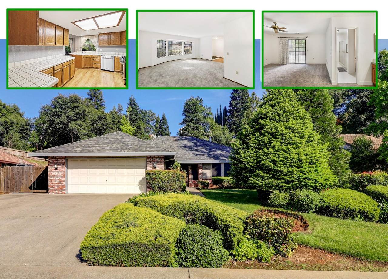 1773 Soda Springs Circle - Photo 1
